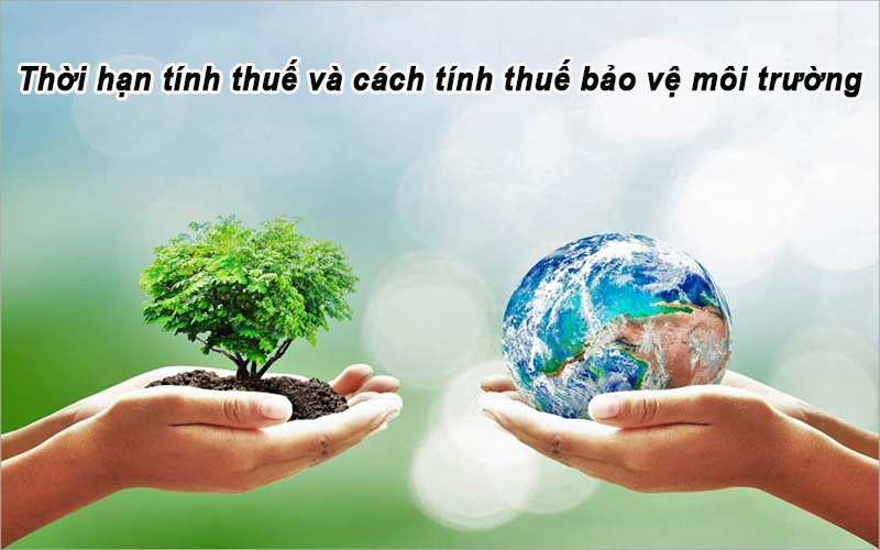 Thời hạn tính thuế và cách tính thuế bảo vệ môi trường