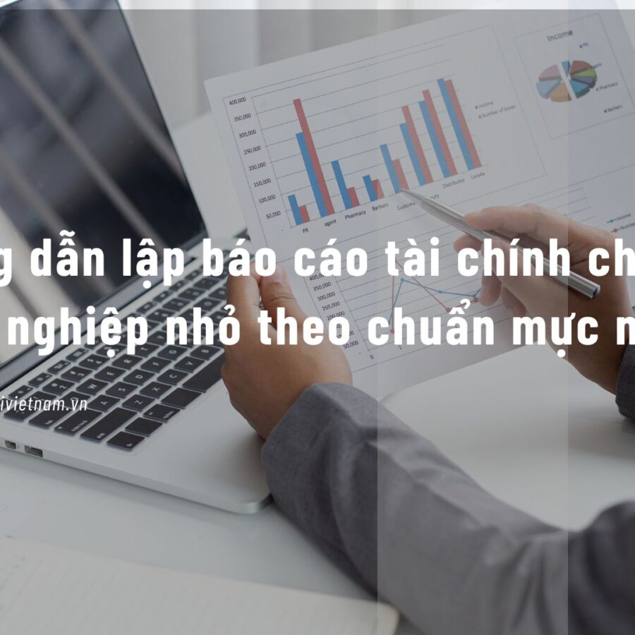 Hướng dẫn lập Báo cáo tài chính cho doanh nghiệp nhỏ theo chuẩn mực mới 2025